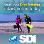 SDI E-LEARNING