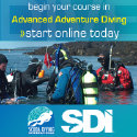 SDI E-LEARNING